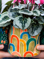 Planter Pots