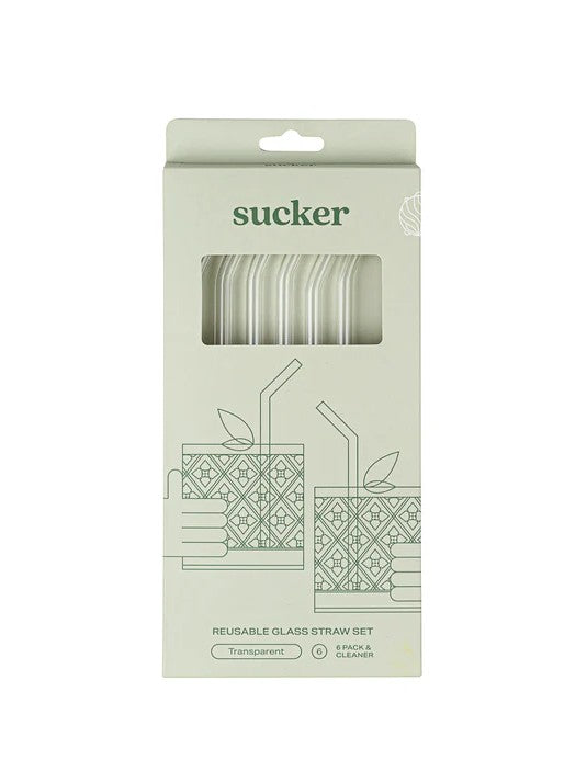Reusable Glass Drinking Straws - Transparent