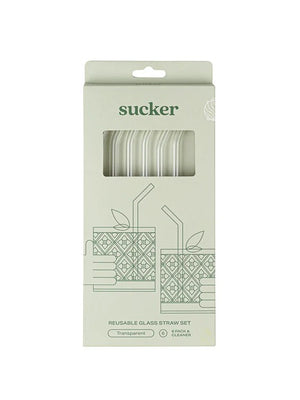 Reusable Glass Drinking Straws - Transparent