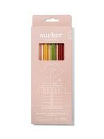 Smoothie Glass Drinking Straw Set